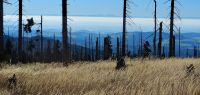 072 grenzsteig - dachsteinblick inklusive